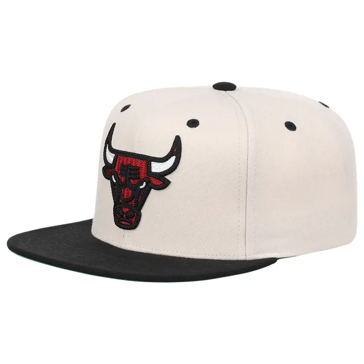 Casquette à boutons-pression Chicago Bulls NBA en point de chaînette ivoire/noir/vert