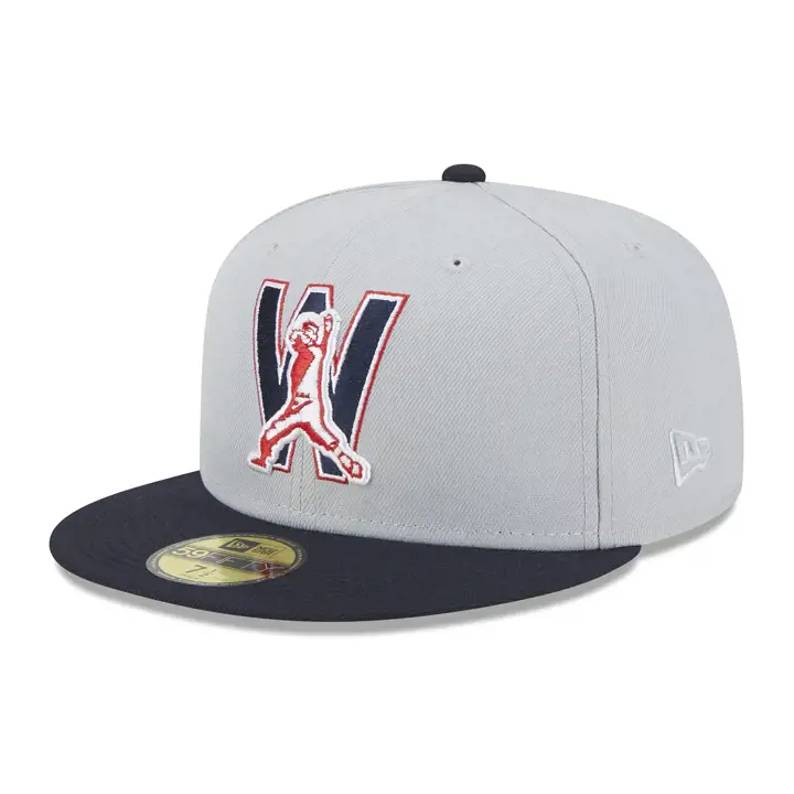 Washington Nationals MLB Dolphin 59FIFTY gris/ bleu/ vert