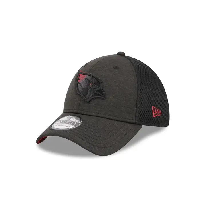Arizona Cardinals NFL Dim Dark 39THIRTY graph/ noir