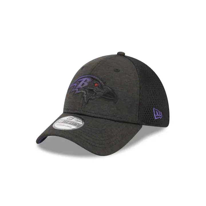 Baltimore Ravens NFL Dim Dark 39THIRTY graph/ blk