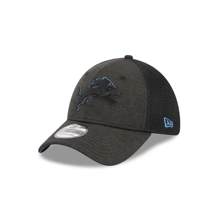 Casquette Detroit Lions NFL Dim Dark 39THIRTY graph/noir