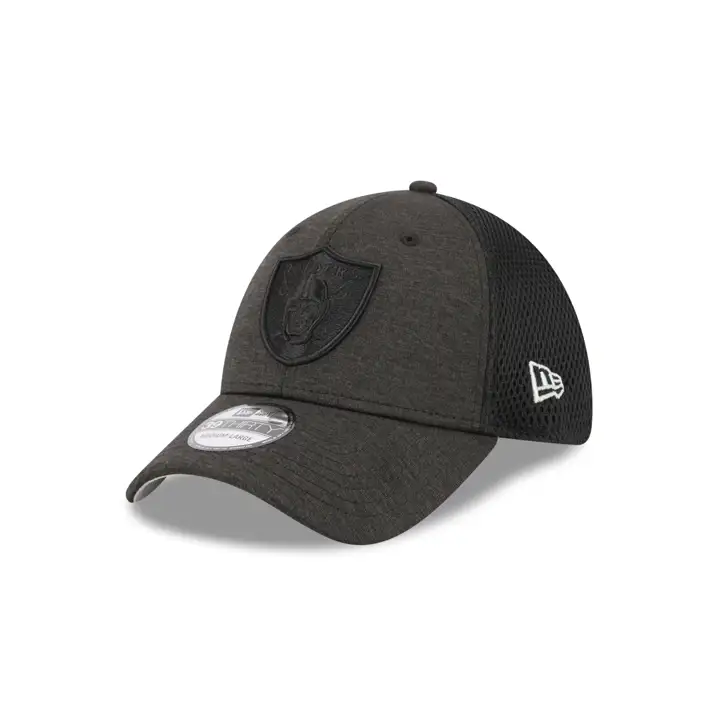 Las Vegas Raiders NFL Dim Dark 39THIRTY gris anthracite/ noir