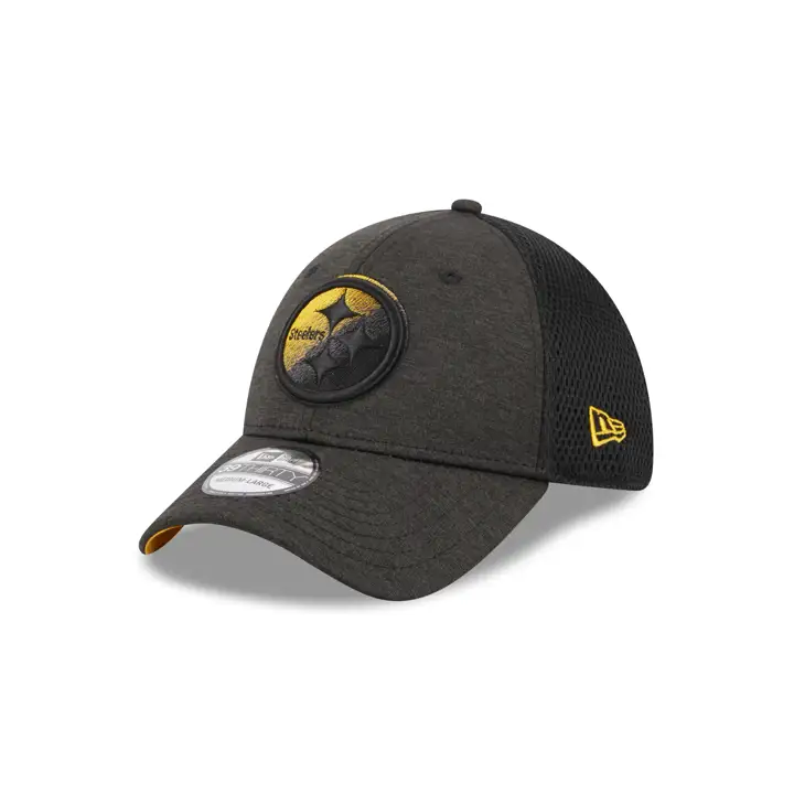 Pittsburgh Steelers NFL Dark Dim 39THIRTY gris/ noir