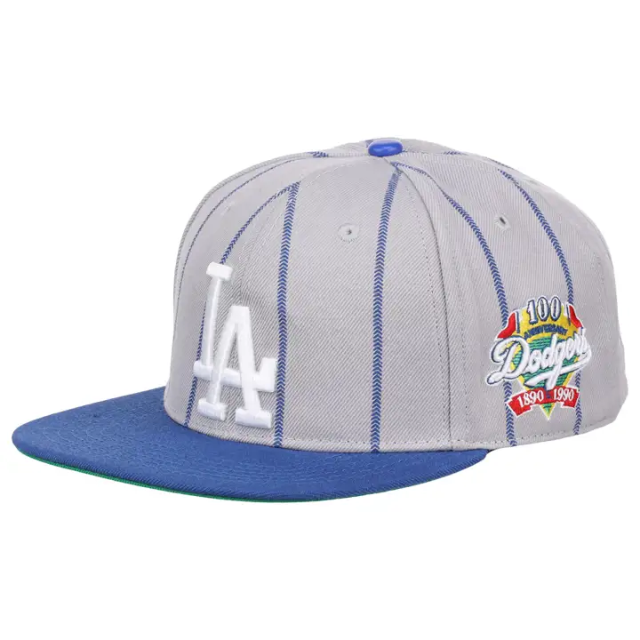 Los Angeles Dodgers MLB Pro Pinstripe Snapback GRY/BLEU/VERT