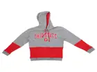 Ohio State Buckeyes Champion NCAA Men's Superfan Stripe Hoodie Hoodies