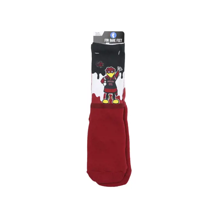 South Carolina Gamecocks Mascotte Drip ENF ast