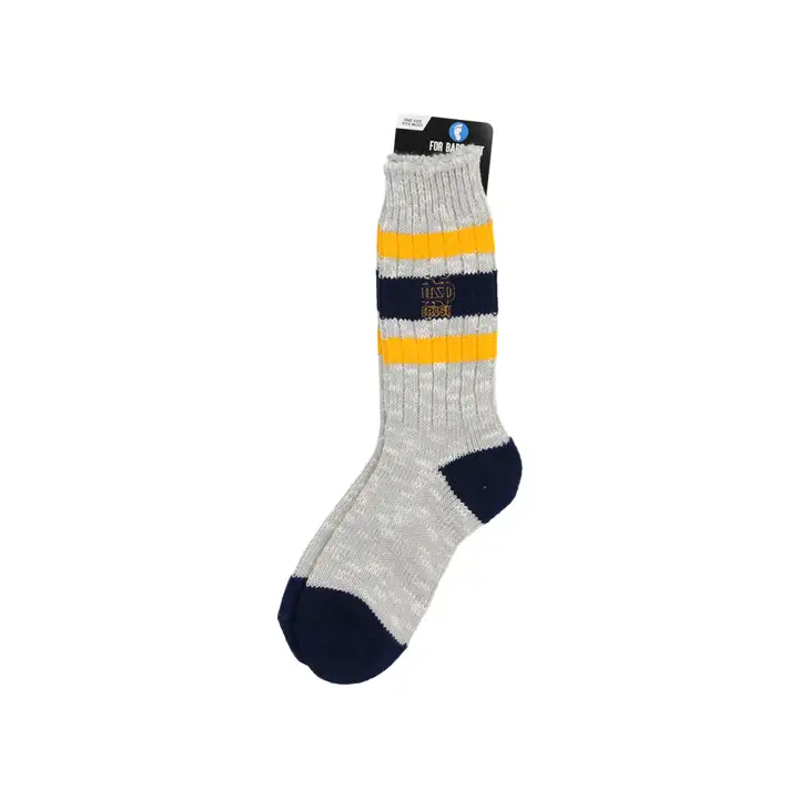 Notre Dame Fighting Irish Ski alpin universitaire