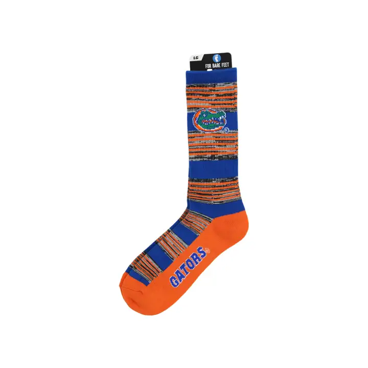 Florida Gators RMC Multistripe Crew ast