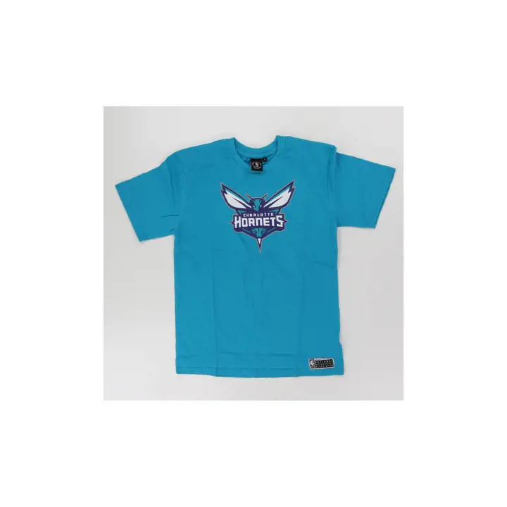 Hoodie Charlotte Hornets NBA Esstl Front Logo sarcelle
