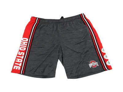 NCAA Men's Grey with Red Side Stripe Shorts 