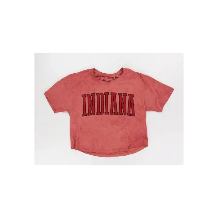 T-shirt court délavé Indiana Hoosiers NCAA 23 CRIM