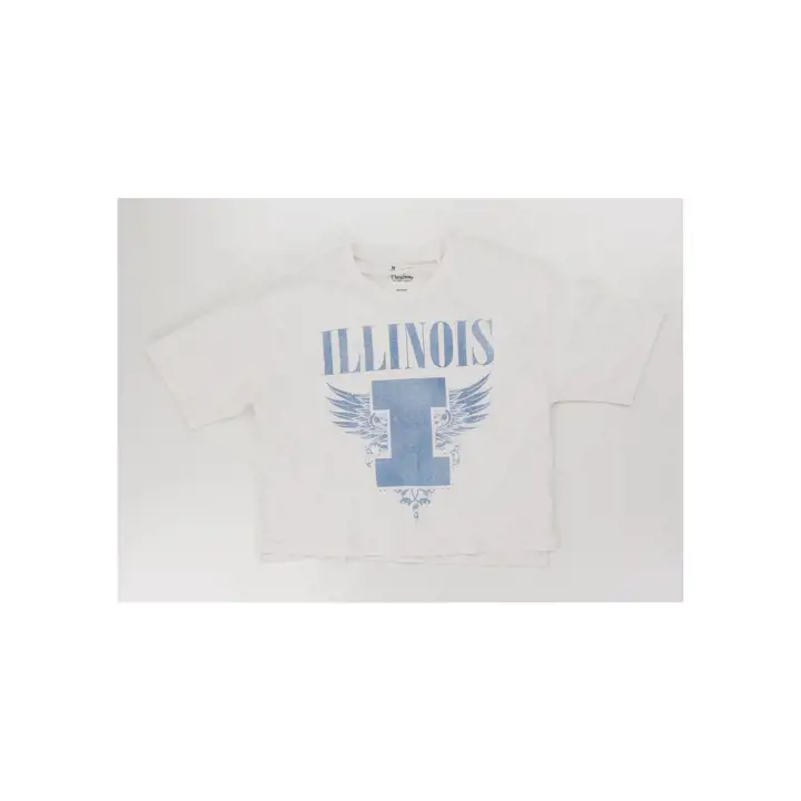 T-shirt court Rock & Roll Illinois Fighting Illini NCAA 23