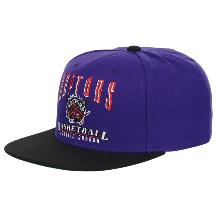 Casquette Toronto Raptors NBA Rise & Shine Snapback violette/noire/verte