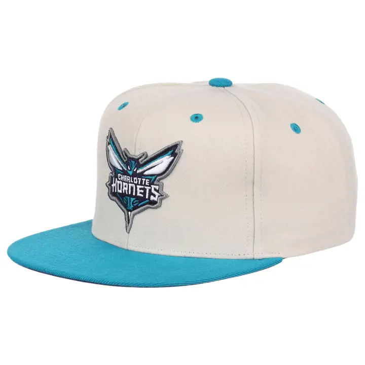 Casquette Snapback Charlotte Hornets NBA No Days Off ivoire/sarcelle/violet