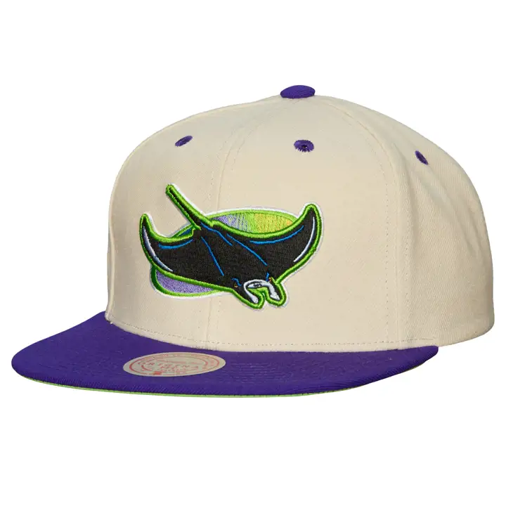 Casquette snapback Tampa Bay Rays MLB No Days Off ivo/navy/lbl