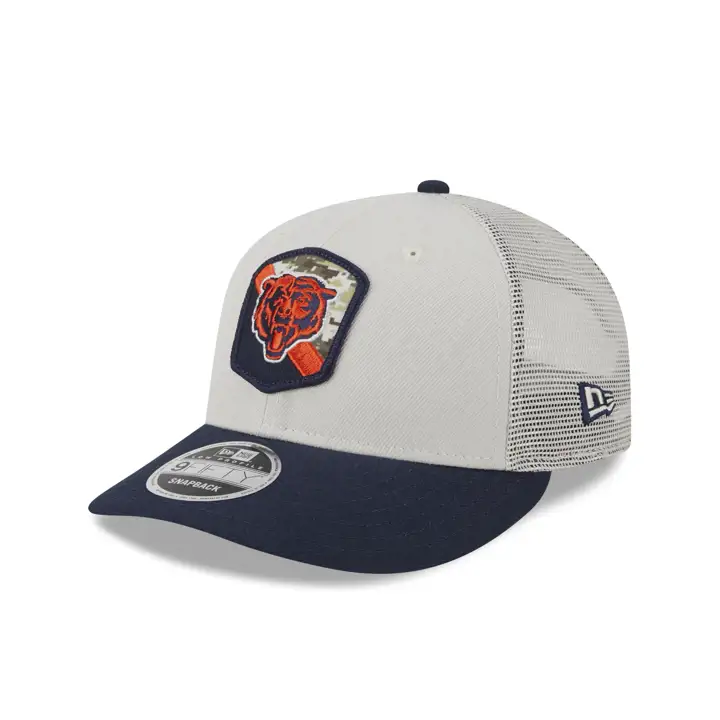 Chicago Bears 23 NFL Salute to Service LP9FIFTY STONE/NAVY