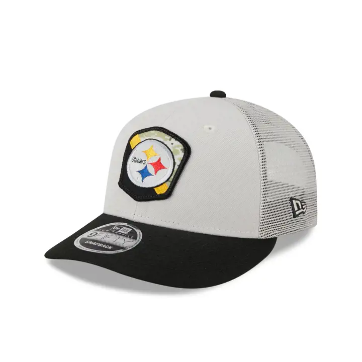Pittsburgh Steelers 23 NFL Salute to Service LP9FIFTY STONE/