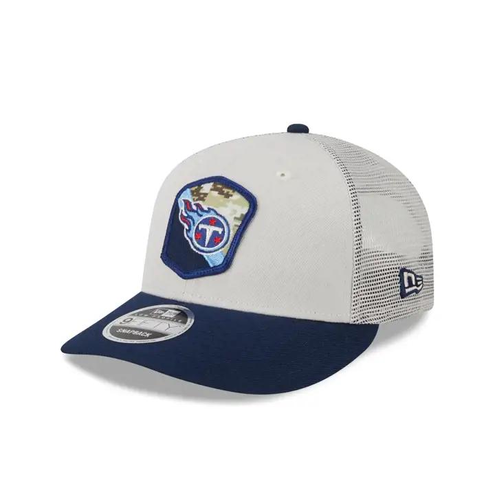 Tennessee Titans 23 NFL Salute to Service LP9FIFTY STONE/NAV