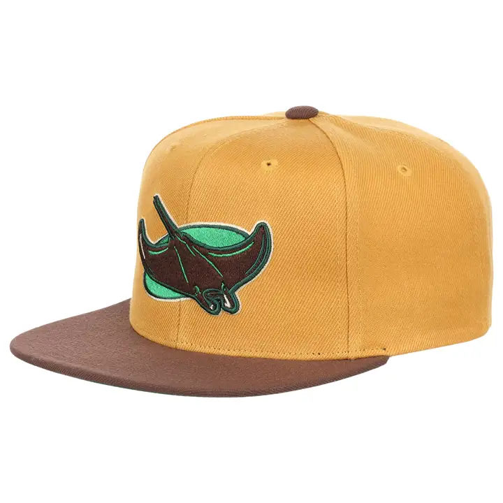 Casquette snapback Tampa Bay Rays MLB « Beef & Broccoli » KAKI/MARRON/VERT