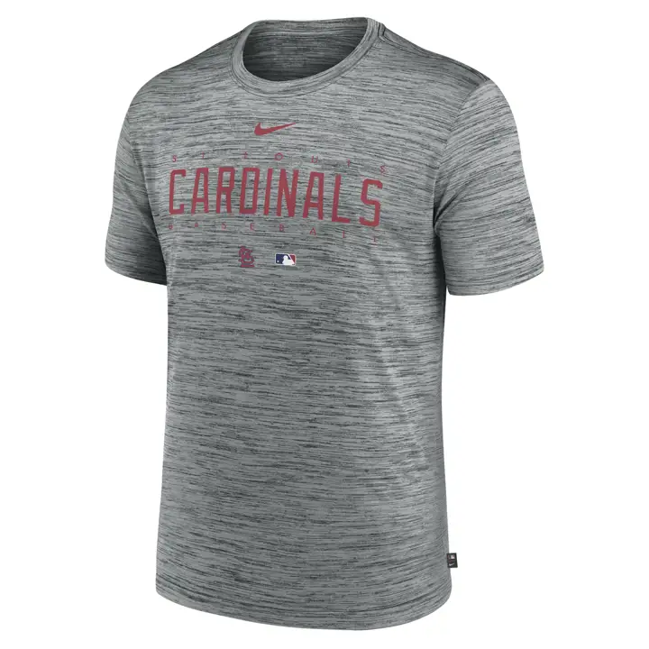 T-shirt St. Louis Cardinals MLB Velocity Dugout gris