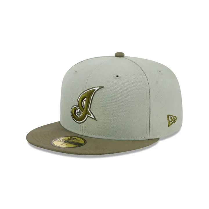 Cleveland Guardians MLB Money Tree 59FIFTY DKGRN/BRNZ/GRY
