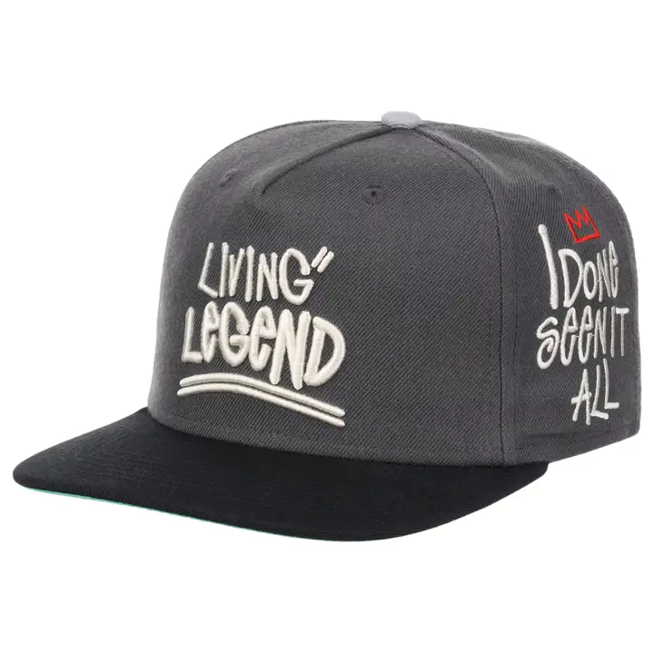 Casquette Snapback TWNTY-TWO GRIS/NOIR/VERT