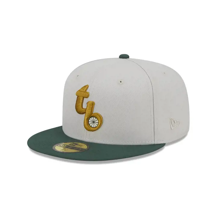 Tampa Bay Rays MLB Concrete Jungle 59FIFTY pierre/vert/gris