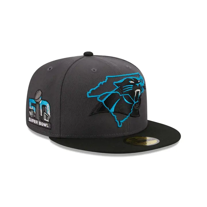 Carolina Panthers NFL State Fill 59FIFTY CHARCOAL/BLK