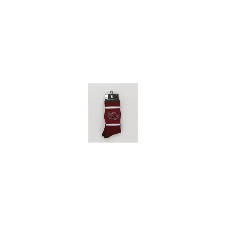 South Carolina Gamecocks Fashion Logo Premium Col ras du cou AST