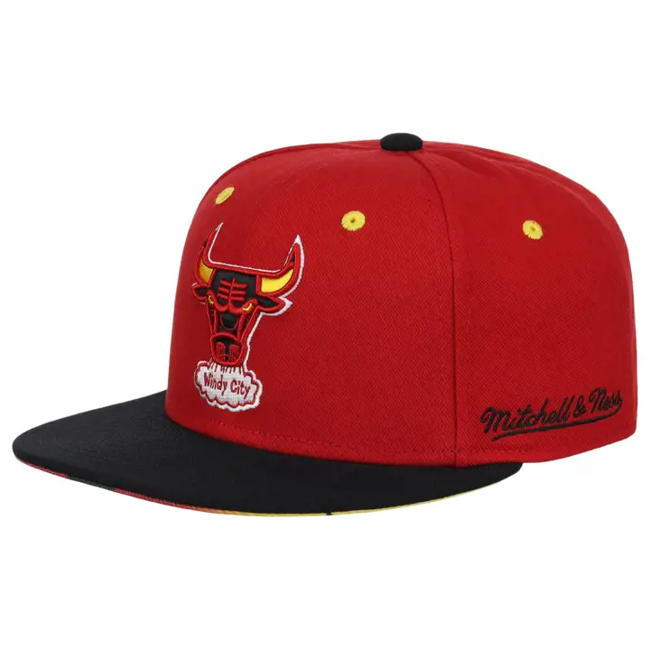 Chicago Bulls NBA MN The Worm Ajustée rouge/noir/ast