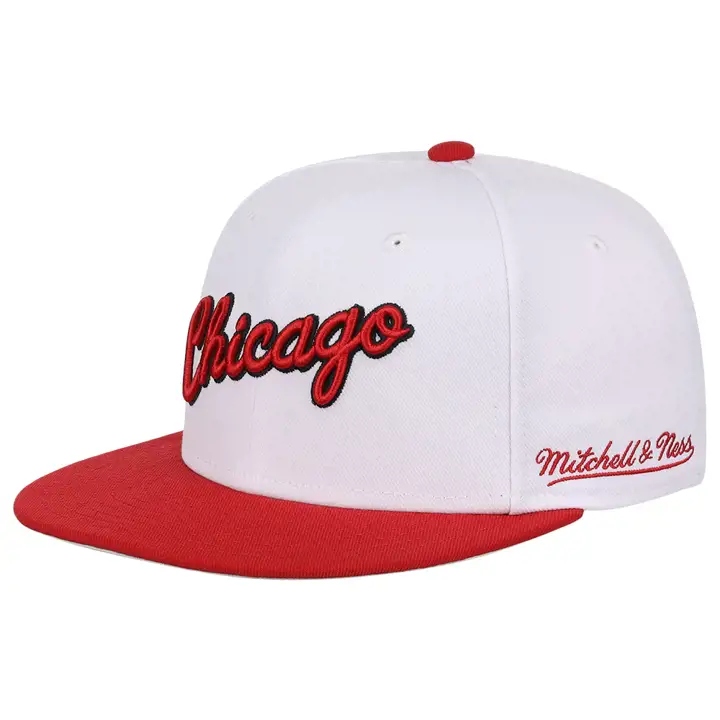 Chicago Bulls NBA MN The Worm Ajustée blc/rge/ivo