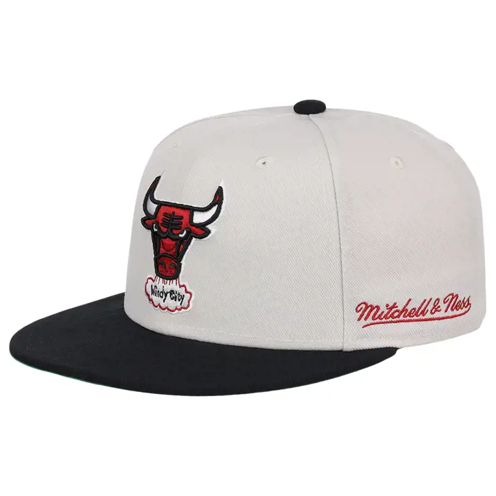 Chicago Bulls NBA MN The Worm Ajustée ivo/noir/vert