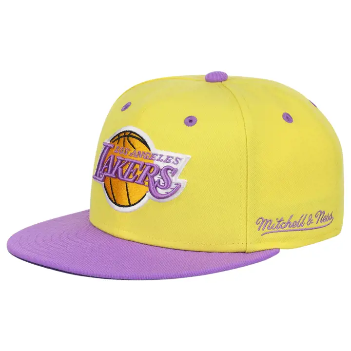 Los Angeles Lakers NBA MN The Worm Ajustée jal/vio/vio