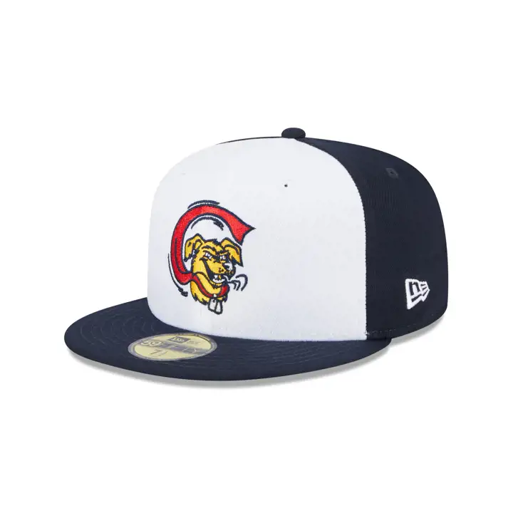 Charleston RiverDogs 2023 MiLB Marvel 59Fifty Marine