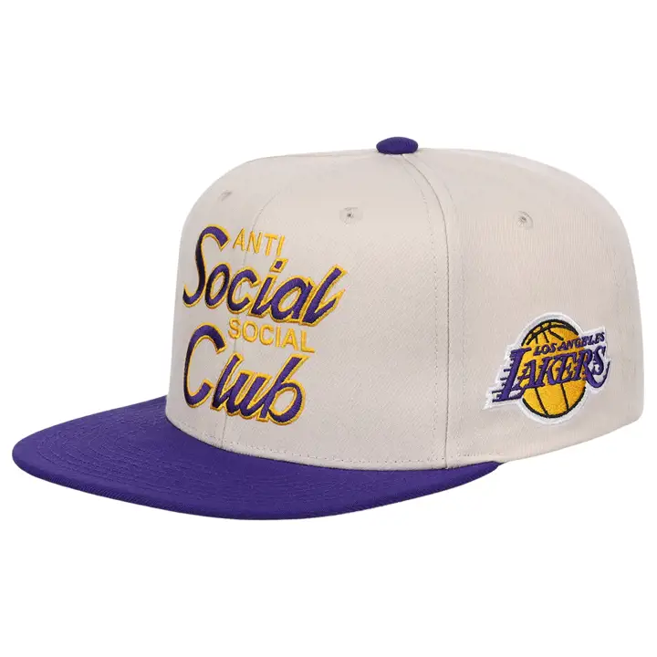 Casquette Los Angeles Lakers NBA ASSC Snapback IVO/PUR/PNK
