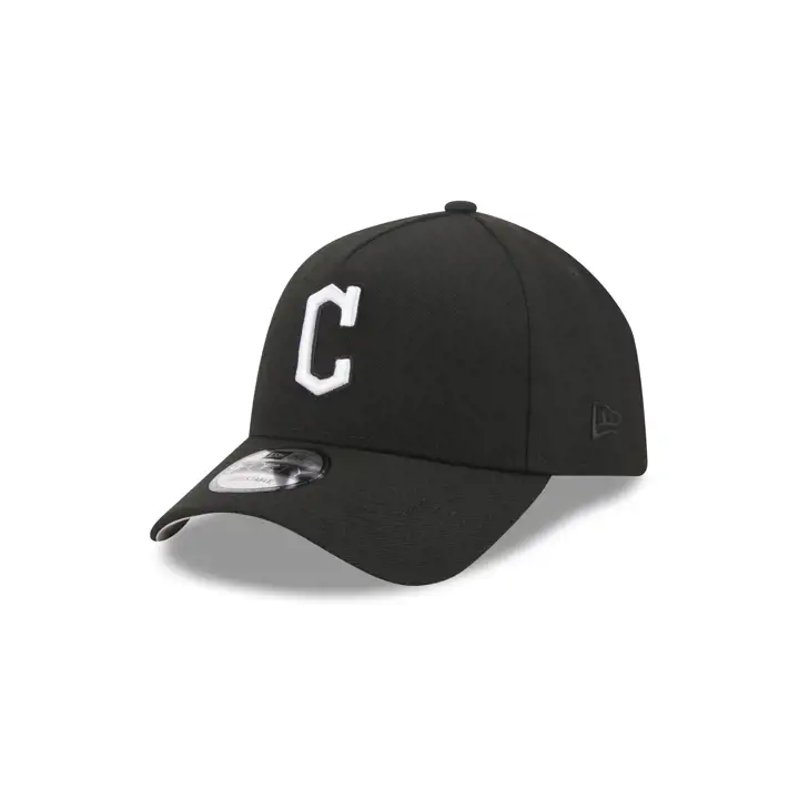 Cleveland Guardians MLB B-Dub AF 9FORTY Noir/Blanc