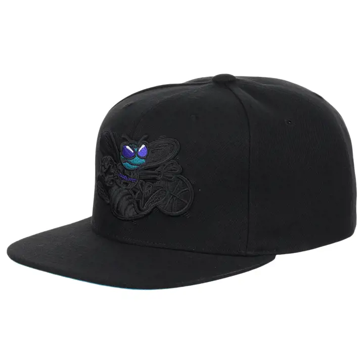 Casquette Charlotte Hornets NBA MN Logo Elements Snapback N/N/R