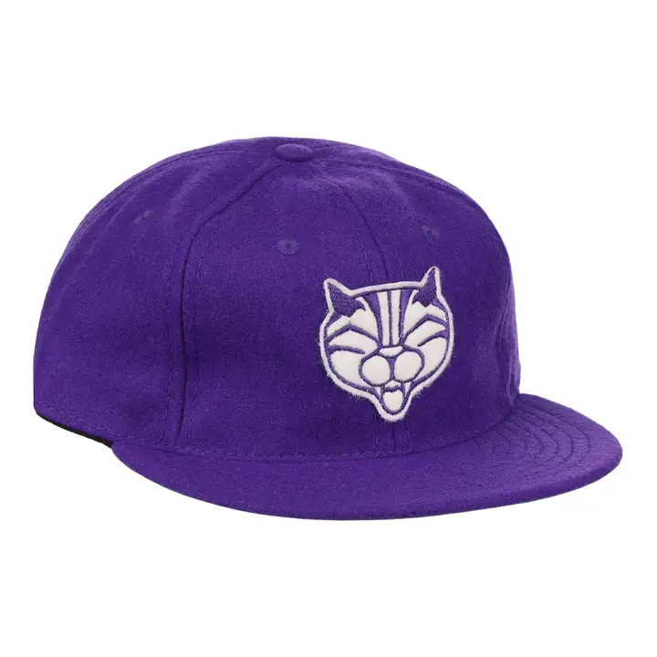 Casquette vintage à visière plate, mascotte de l'université de Northwestern PUR