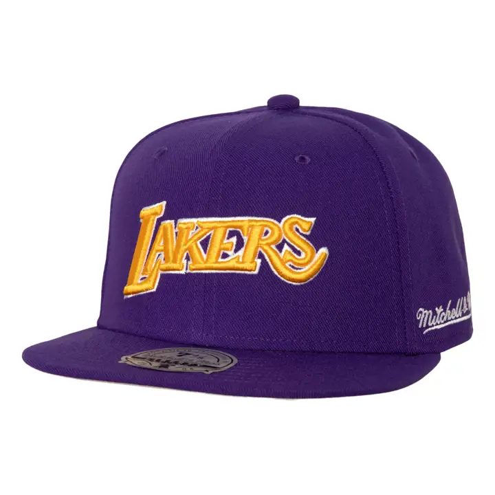 Los Angeles Lakers NBA MN HWC Basic Fitted VIO/VIO/GRI