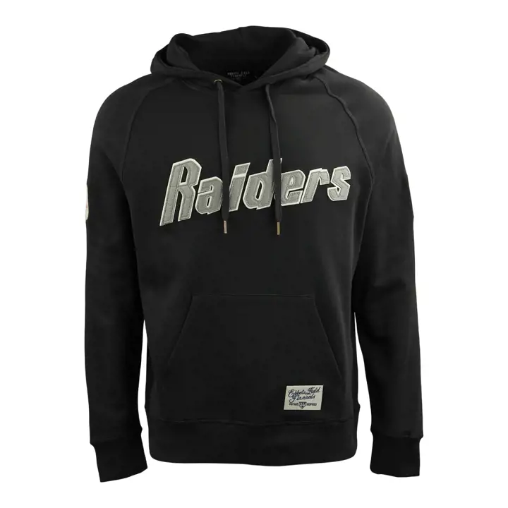 LAS VEGAS RAIDERS EFF NFL sweats à capuche en molleton bouclette NOIR