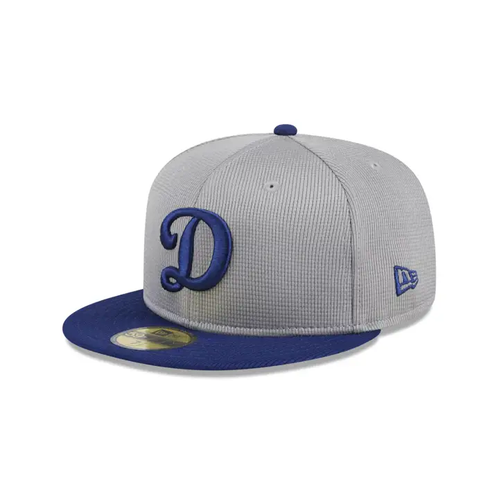 Los Angeles Dodgers 2024 MLB Entraînement au bâton 59Fifty gry/ n