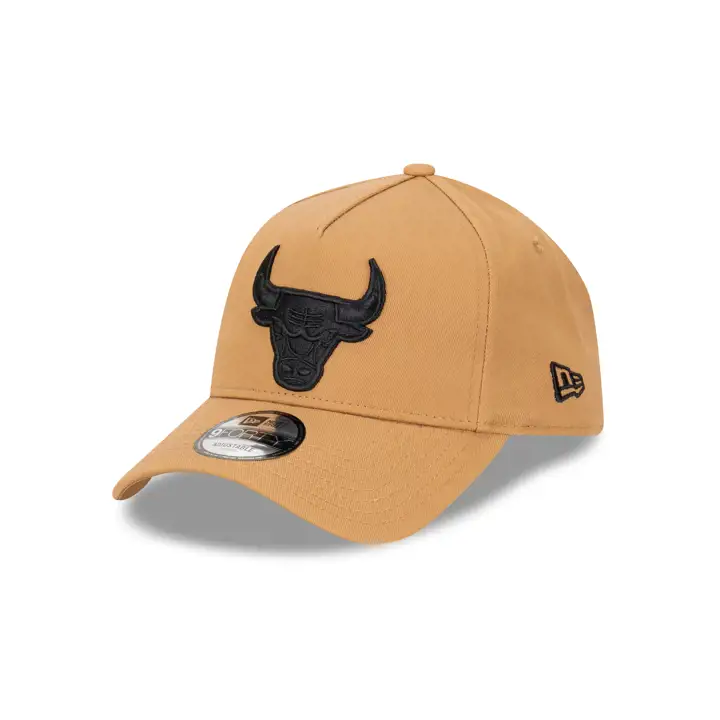CHICAGO BULLS 940AF WHE BLK EVRGRN be