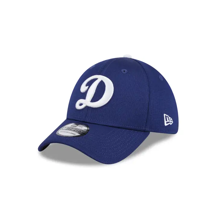 Los Angeles Dodgers MLB 24 ENTRAÎNEMENT DE PRINTEMPS 39THIRTY MARINE