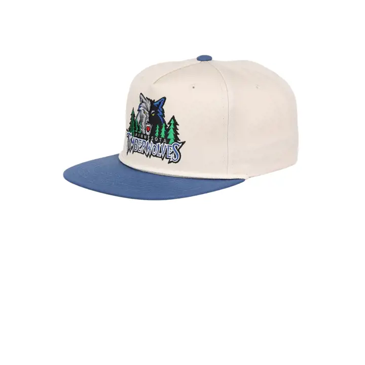 Casquette Minnesota Timberwolves NBA HWC 2T Rope Snapback IVO/Bleu/KGR