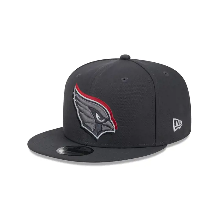 Arizona Cardinals 24 NFL Draft 9FIFTY GRAPH