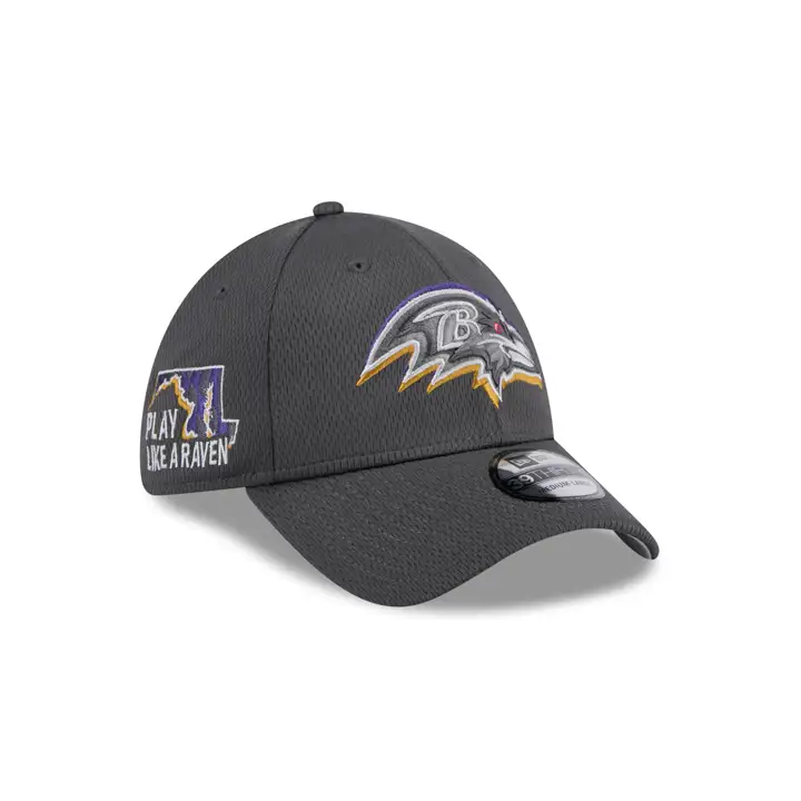 Baltimore Ravens 24 NFL Draft 39THIRTY GRAPH