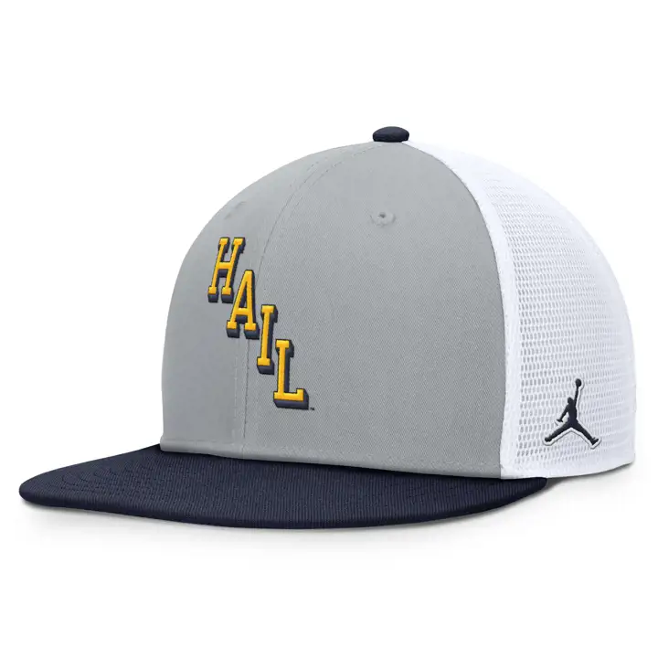 Michigan Wolverines NCAA NK Casquette filet en maille inclinée gry/ na