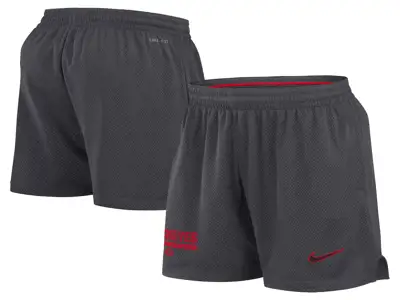 Nike NCAA Men's Mesh Dri-Fit Shorts