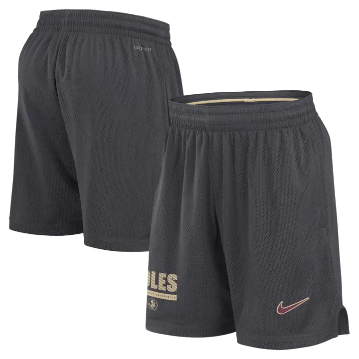 Short en mesh DRIFIT NCAA Florida State Seminoles 24 anthracite