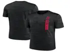Ohio State Buckeyes Nike NCAA Men's Velocity Dri-Fit T-Shirt T-Shirts